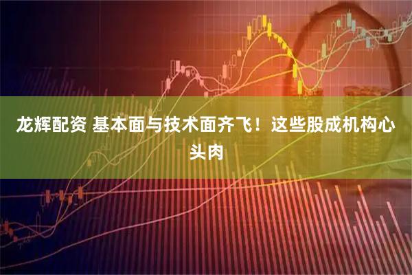 龙辉配资 基本面与技术面齐飞！这些股成机构心头肉