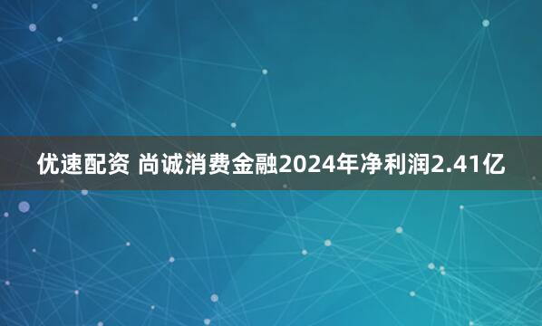 优速配资 尚诚消费金融2024年净利润2.41亿