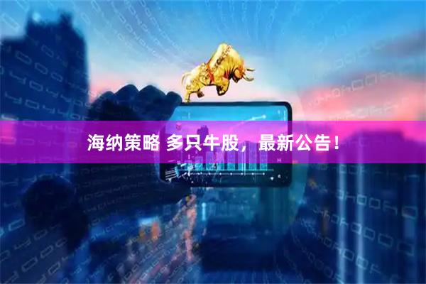海纳策略 多只牛股,最新公告!