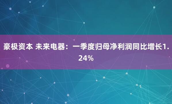 豪极资本 未来电器：一季度归母净利润同比增长1.24%