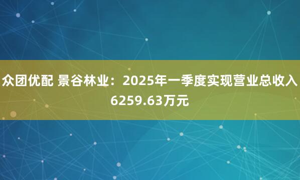 众团优配 景谷林业：2025年一季度实现营业总收入6259.63万元